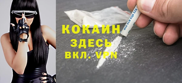 ПСИЛОЦИБИНОВЫЕ ГРИБЫ Карталы