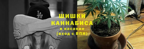 PSILOCYBIN Касимов