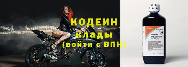 ПСИЛОЦИБИНОВЫЕ ГРИБЫ Карталы