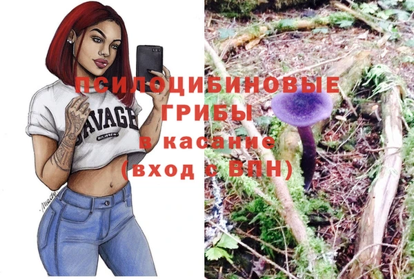 тгк Карпинск