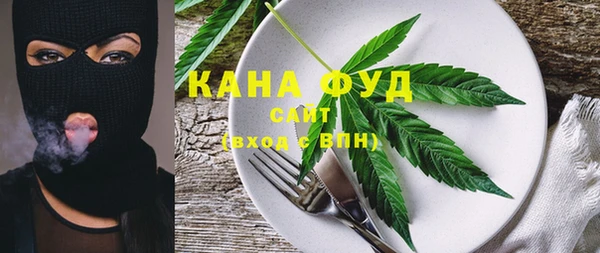крисы Инта