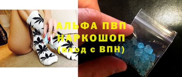 крисы Инта