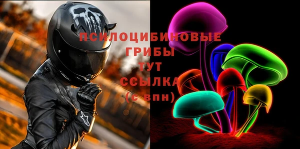 ПСИЛОЦИБИНОВЫЕ ГРИБЫ Карталы