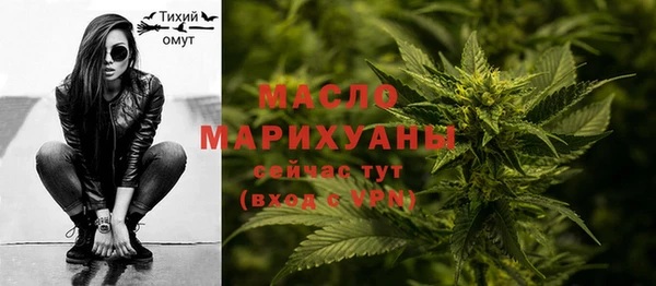 крисы Инта