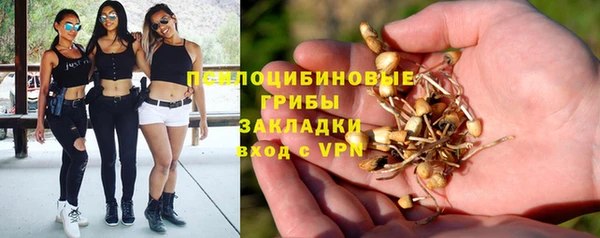 PSILOCYBIN Касимов