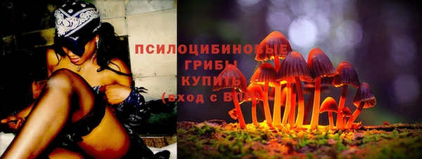 ПСИЛОЦИБИНОВЫЕ ГРИБЫ Карталы