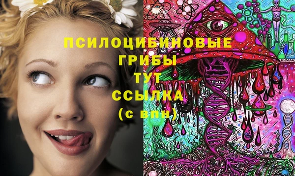 PSILOCYBIN Касимов