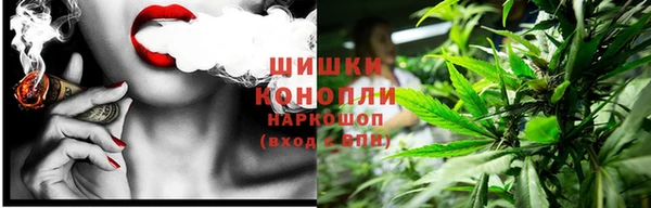 ПСИЛОЦИБИНОВЫЕ ГРИБЫ Карталы